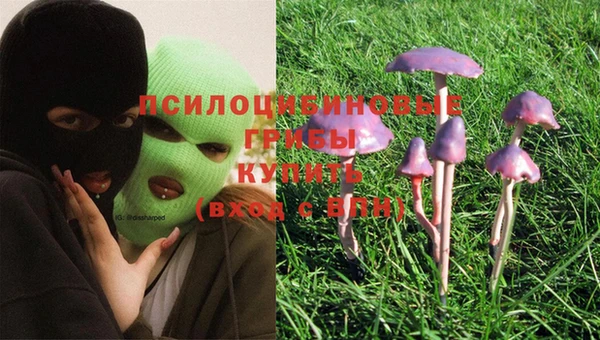 дурь Верея