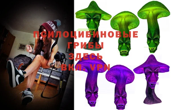 дурь Верея